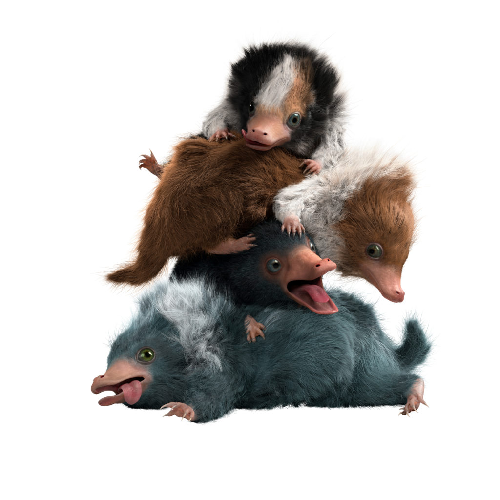 Niffler Baby Niffler Baby
